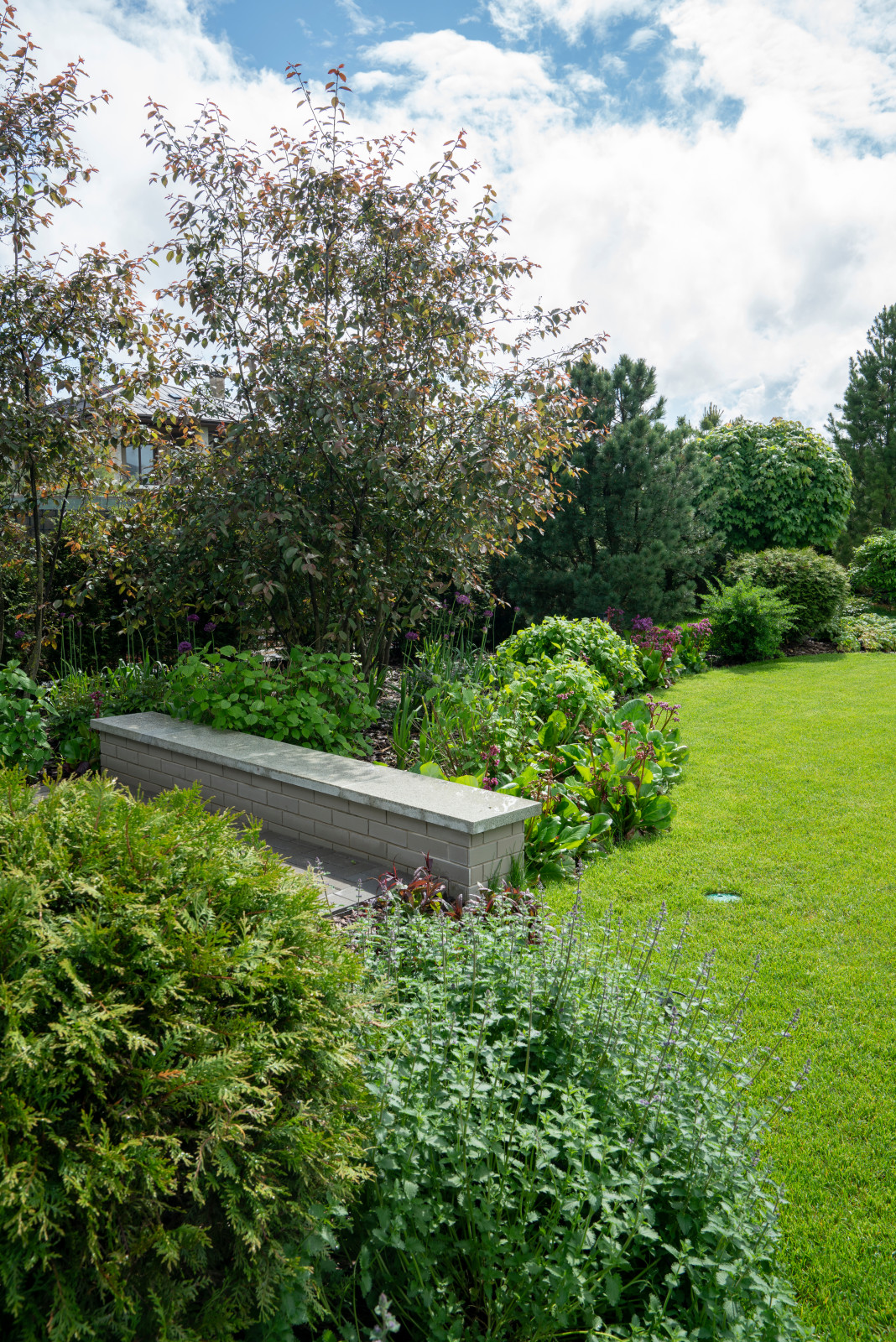 Игра контрастов. Миллениум Парк 2018 г.