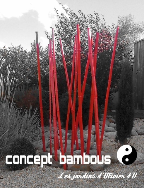 bambous contemporary-garden