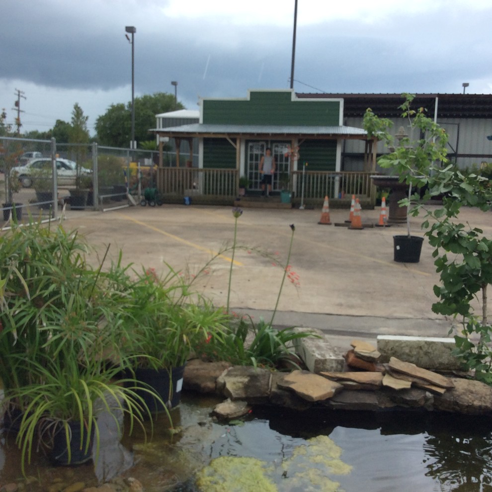 Texas Best Nursery Revitalization