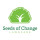 Seeds of Change Landscaping and Lawn Care
