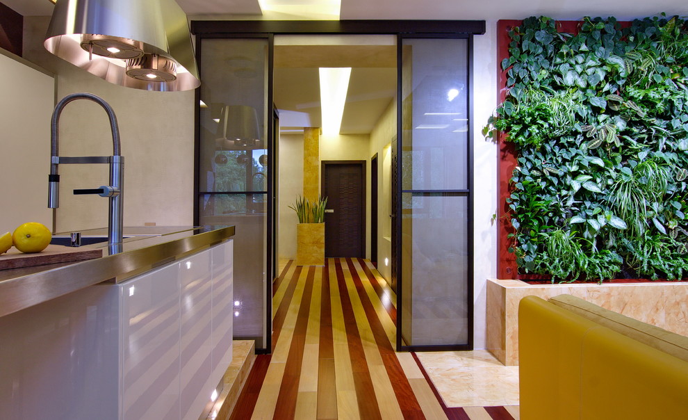 Фитостена в квартире, Коломяги