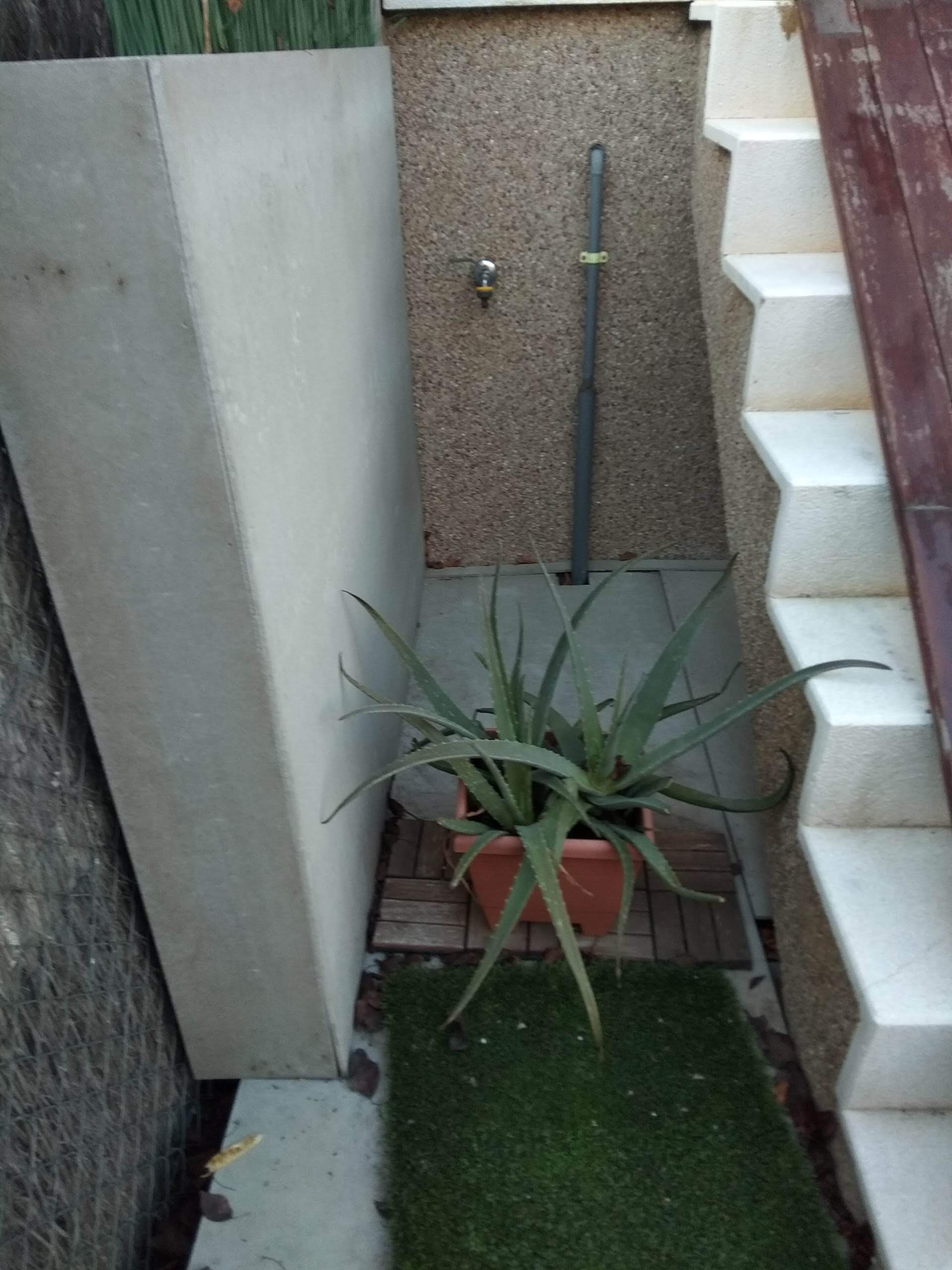 Rinconcitos
