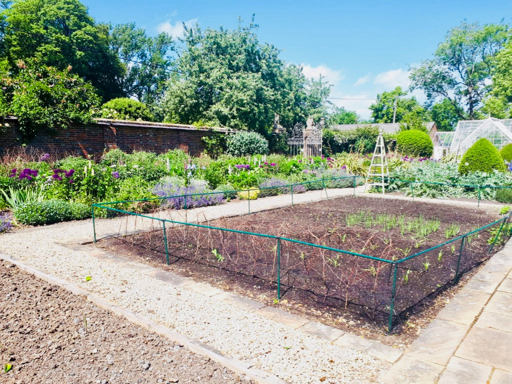 Vegetable Garden Maintenance Project