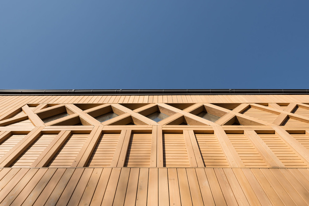 Дом в "Бузаево"