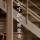 株式会社　かすがい建築舎