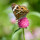 Last commented by Echo_Texas_zone9a