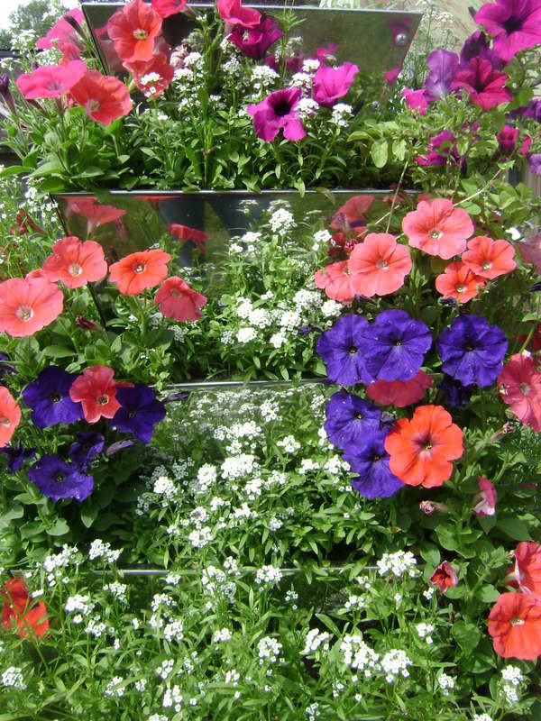 ЦВЕТОЧНЫЕ ПИРАМИДЫ