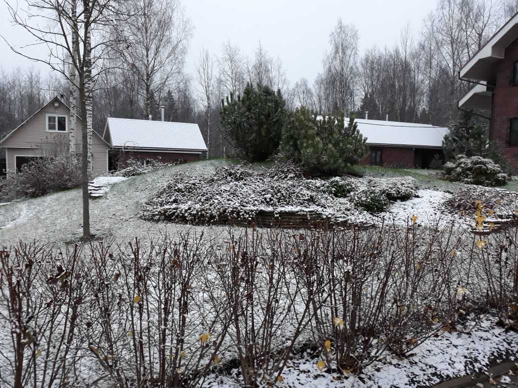 Сад  на холмах