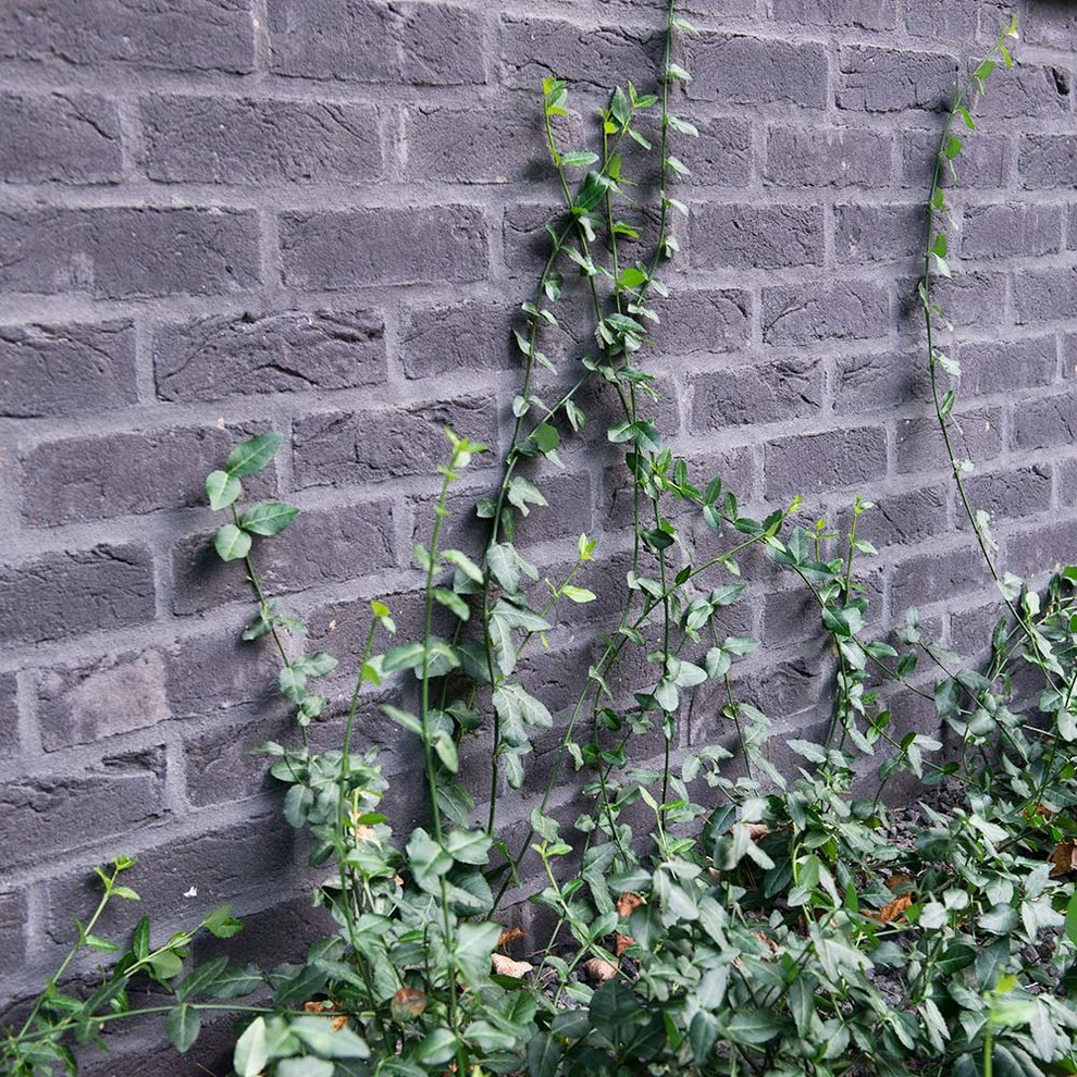 Сад пять уровней комфорта