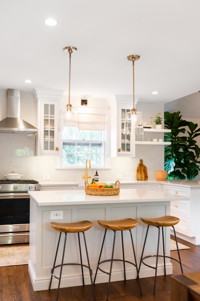 Transitional kitchen in Chicago with glass-front cabinets, white cabinets and with island.