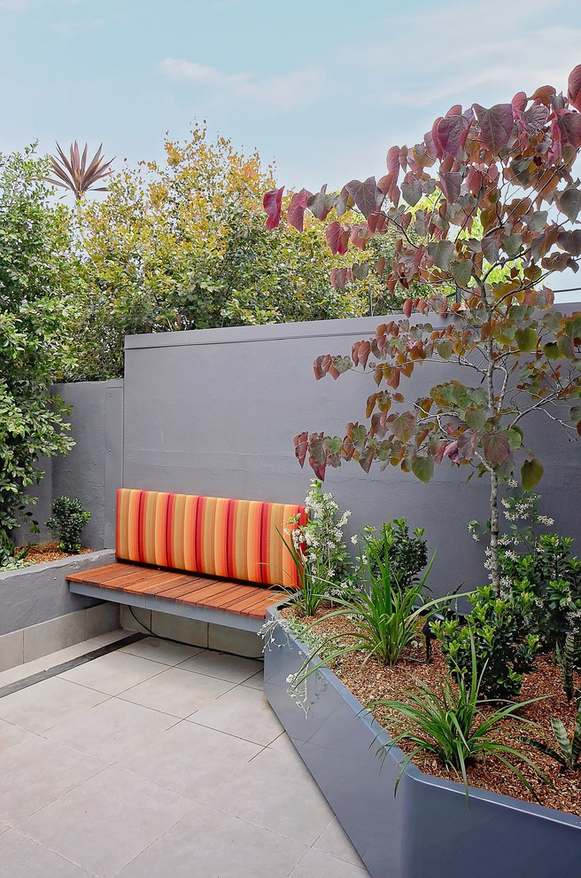 Contemporary courtyard patio in Sydney with a container garden.