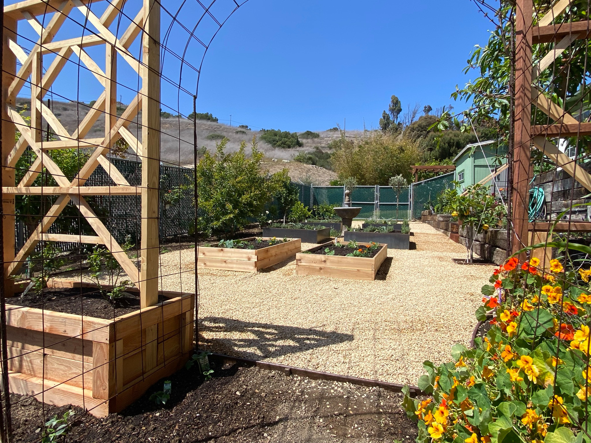 San Pedro, CA - English Potager Style Culinary Garden