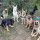 Last commented by Islandgirl German Shepherds