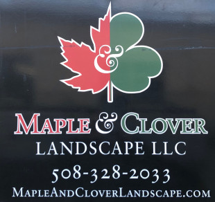Maple And Clover Landscape Framingham, Crl Landscaping North Andover Maple