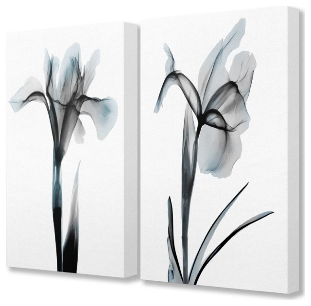 Contrast Black And Blue Flower Bloom Design 2-Piece Set - Contemporary ...