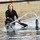 pam_carroll44