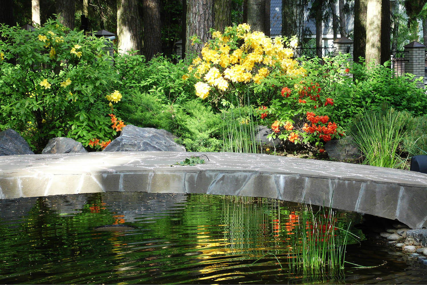 Сад с водоемом в КП " Сосновый Бор"