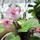 Last commented by Candy_NorthCoast_California