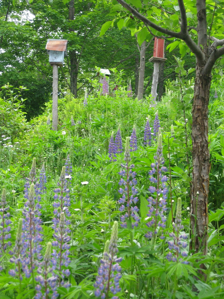 This is an example of a small rustic backyard landscaping in Burlington.