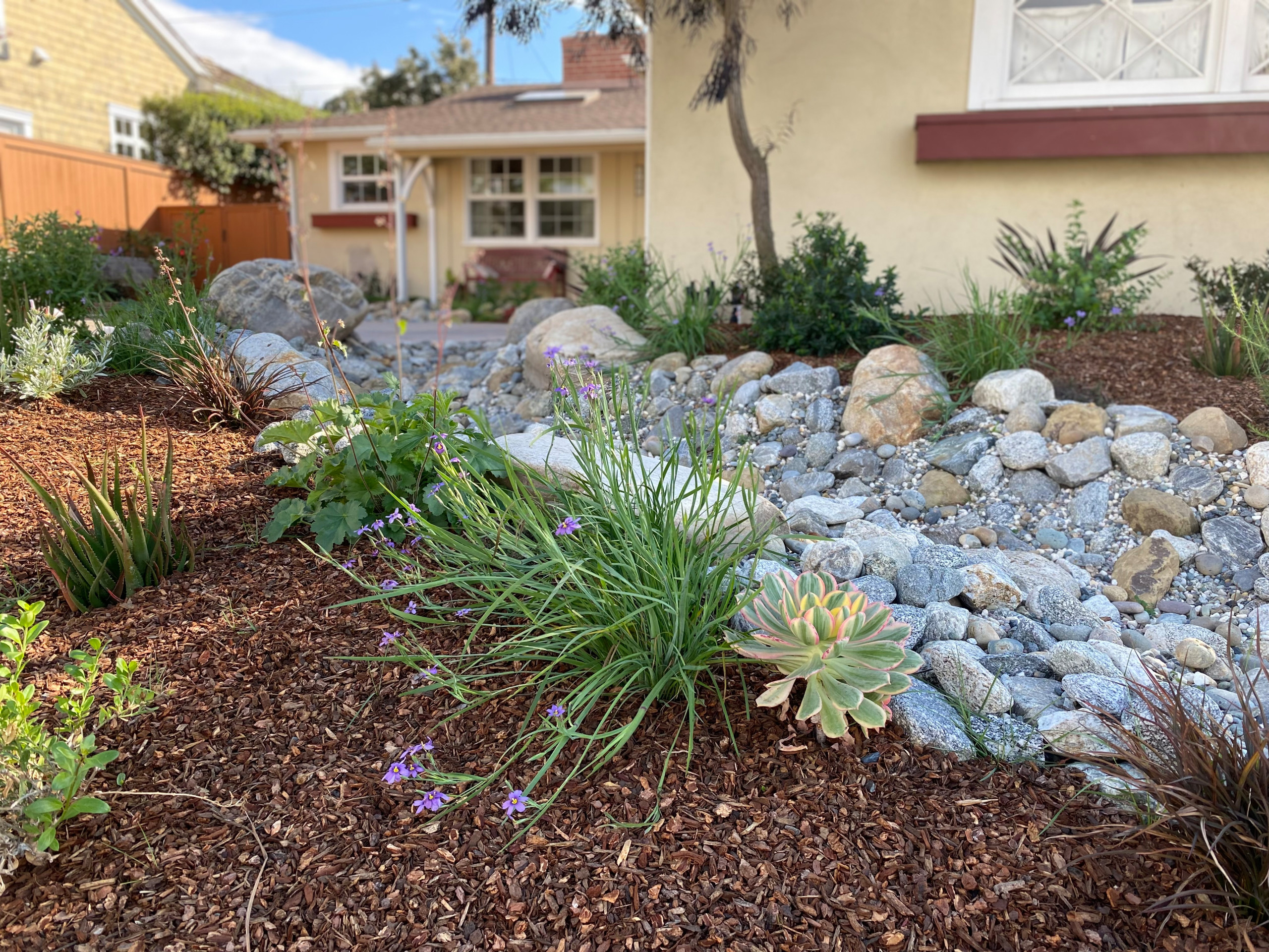 Torrance Hollywood Riviera Bee Friendly Ecological Garden