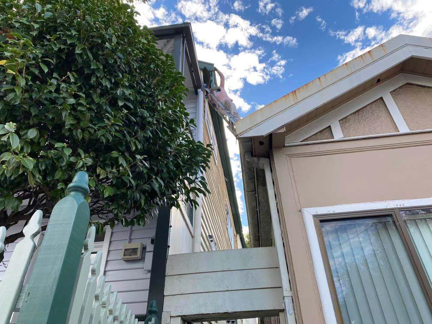 RESTORATION OF A HISTORIC BALMAIN HOME