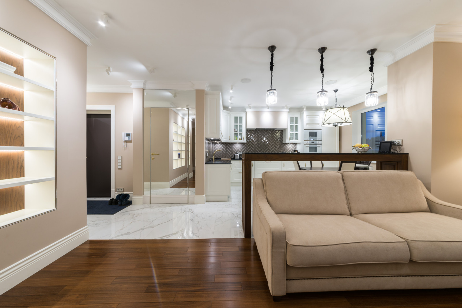 Кухня-гостиная и прихожая