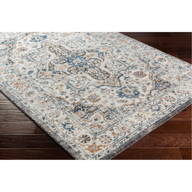 Tuscany Area Rug Traditional Area Rugs by Lighting New York Houzz
