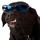 Last commented by dan1465_z7nj