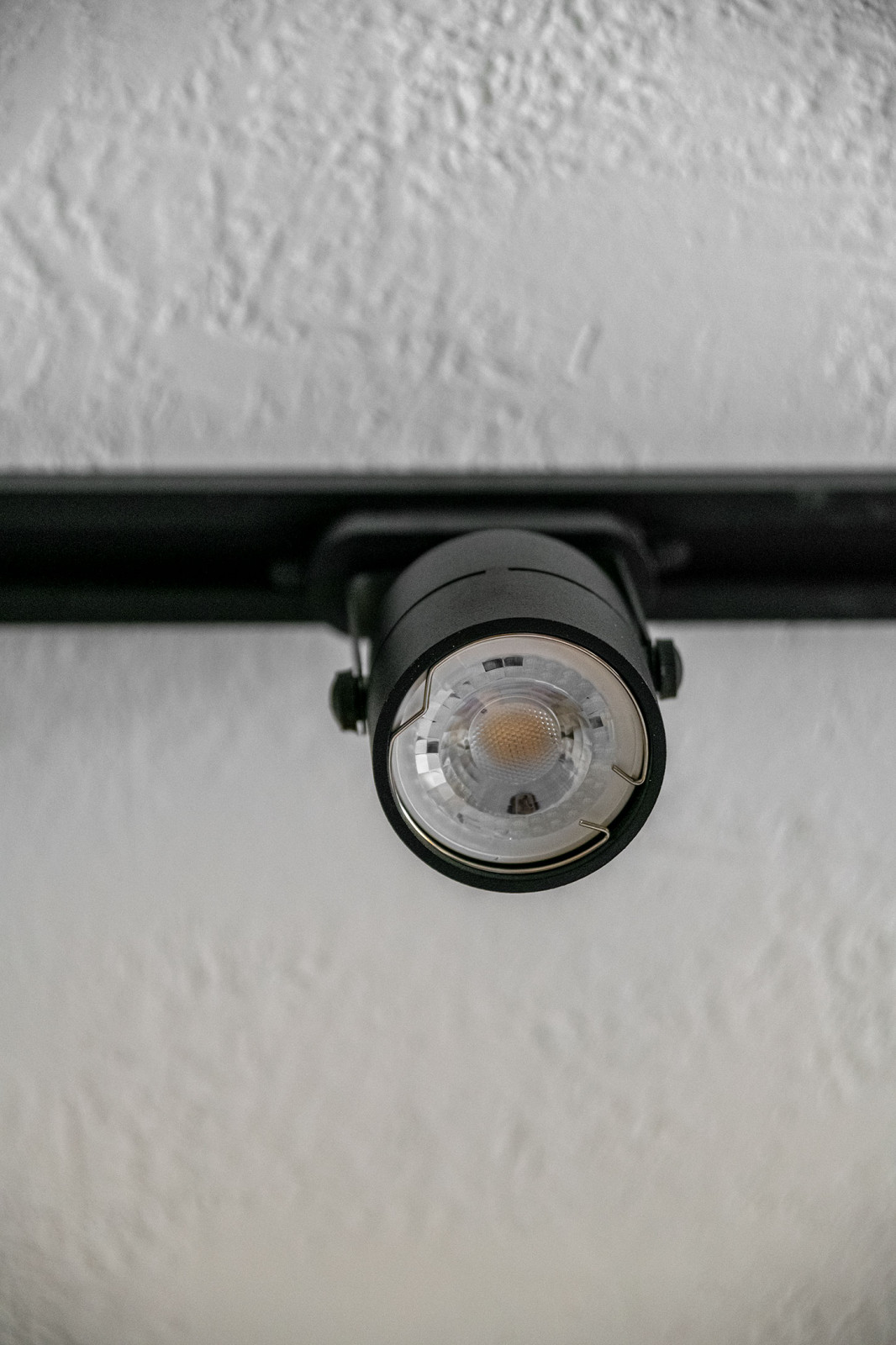 ТВ проект. Фазенда.