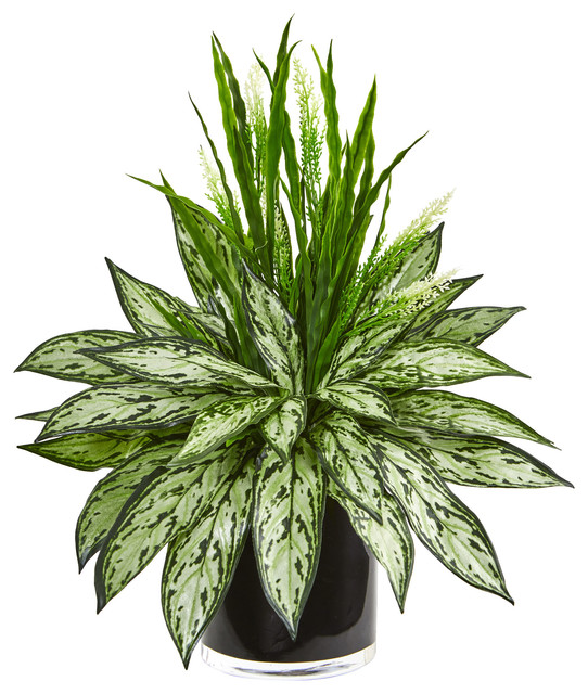 Silver Queen and Grass Artificial Plant in Black Vase Contemporary