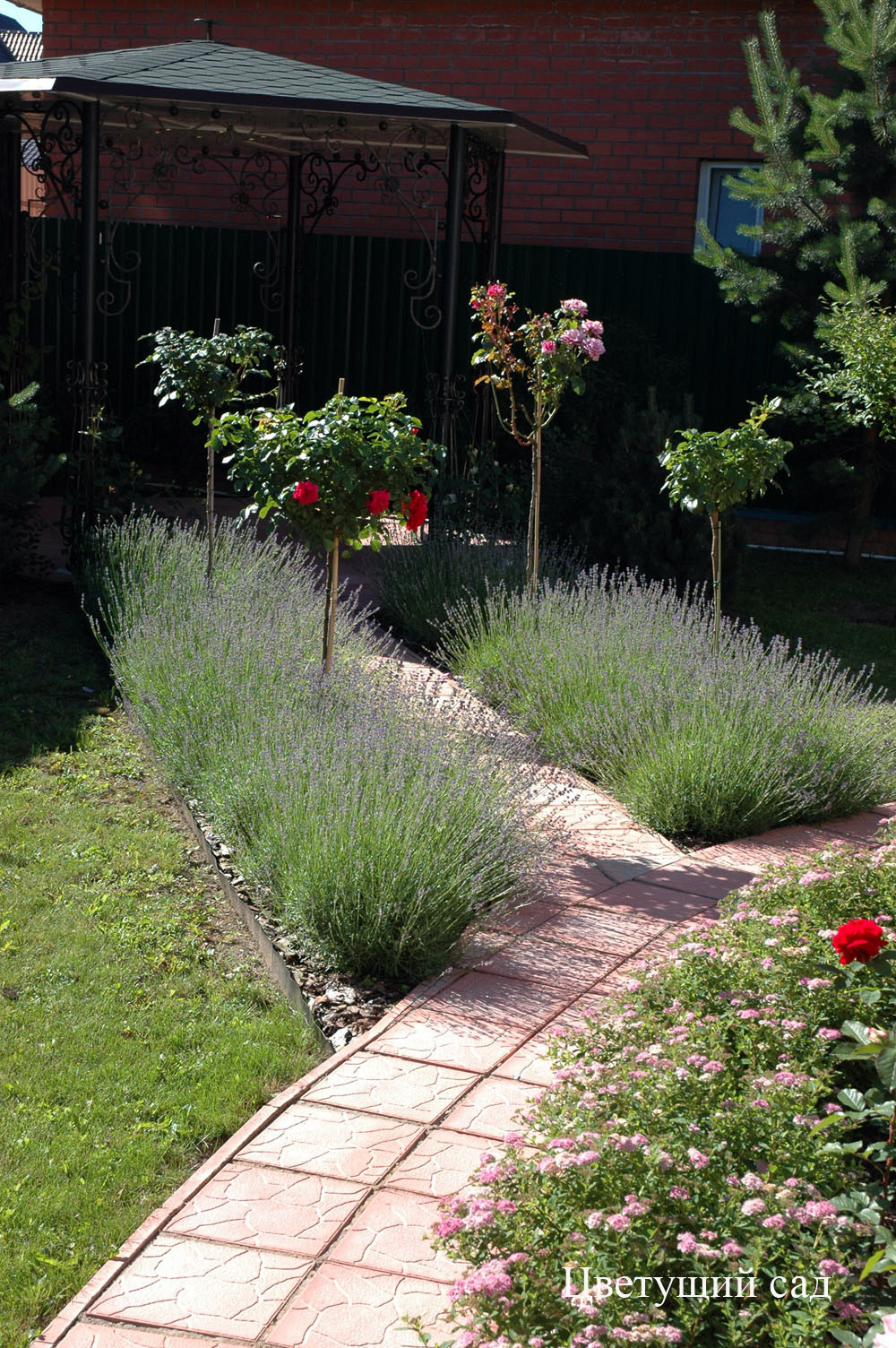 French garden/ Rybaki