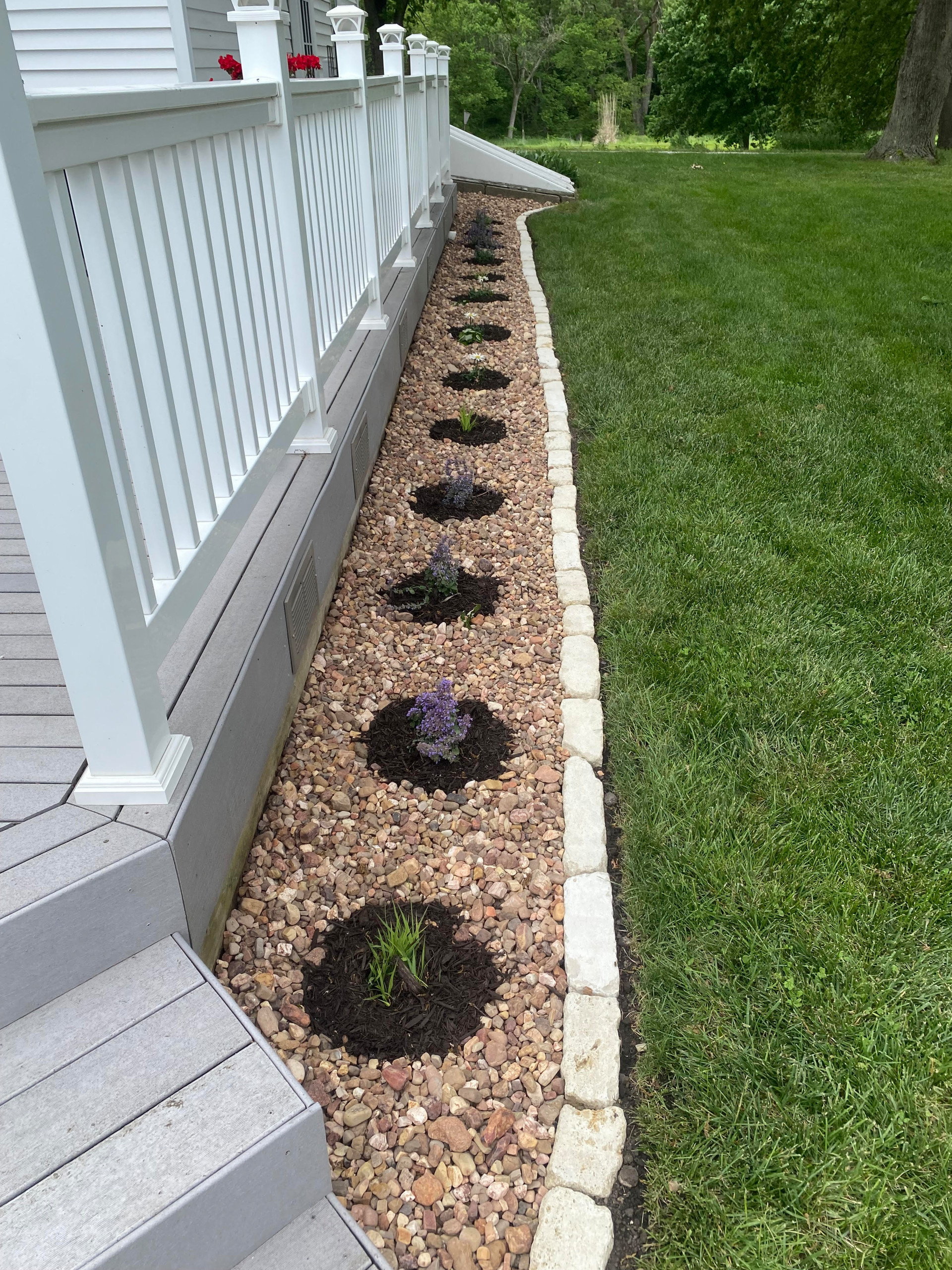 Butterfly Garden