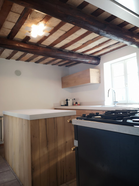 Elle a tout d'une grande transitional-kitchen