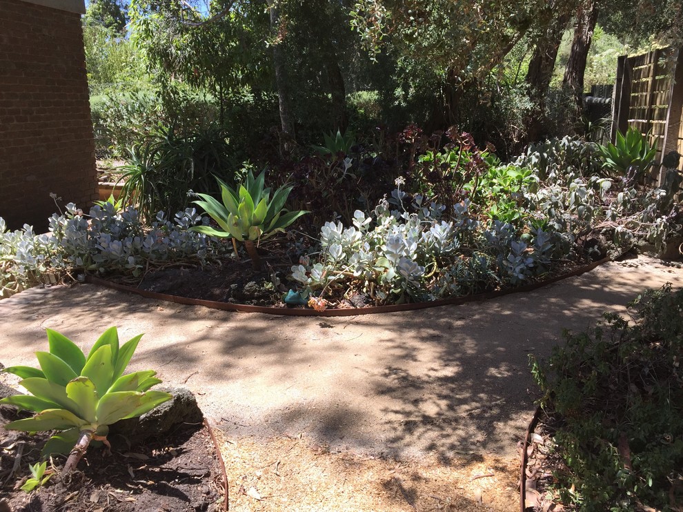 Inspiration for a large transitional backyard partial sun xeriscape in Melbourne with a garden path and gravel.