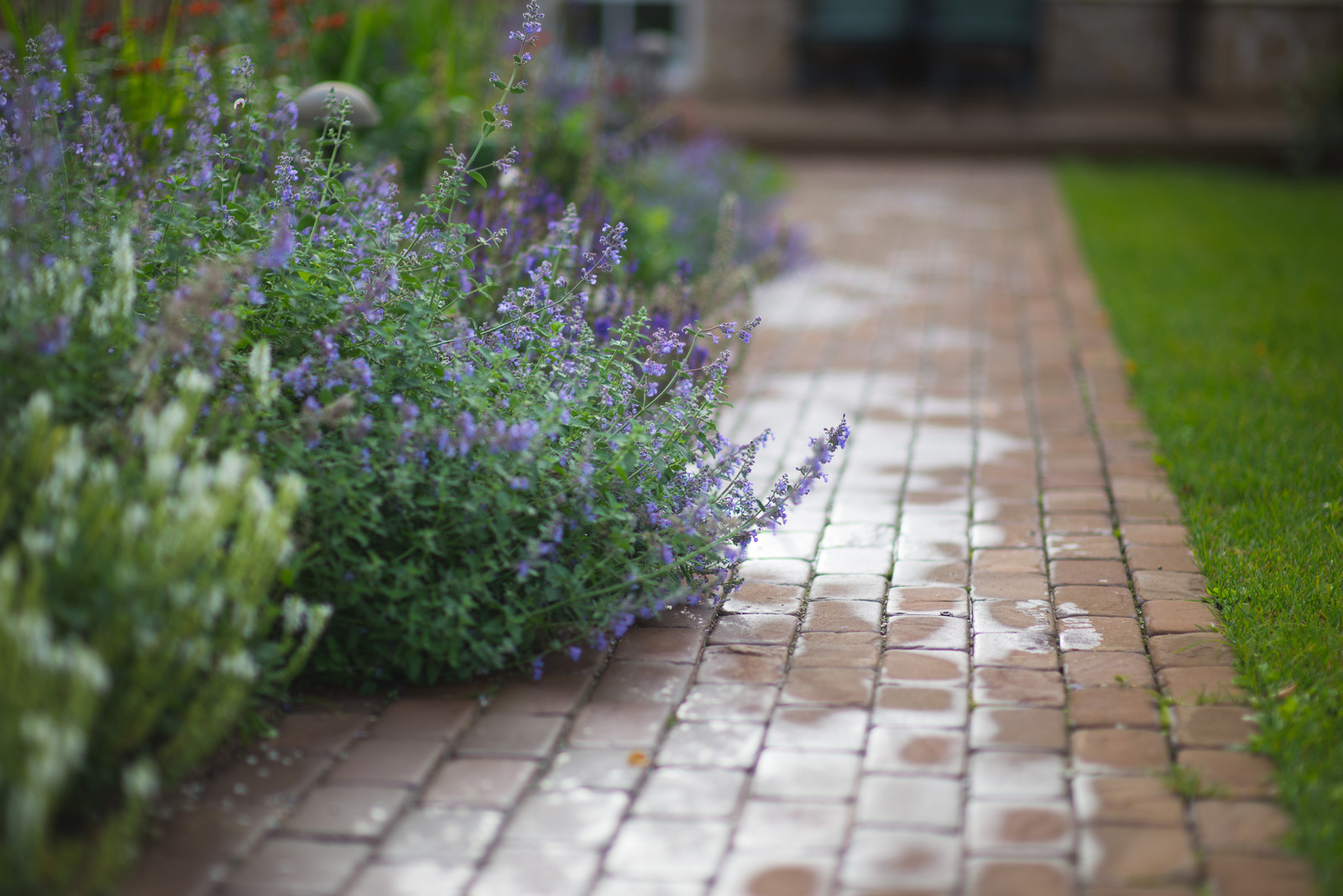 Регулярная классика