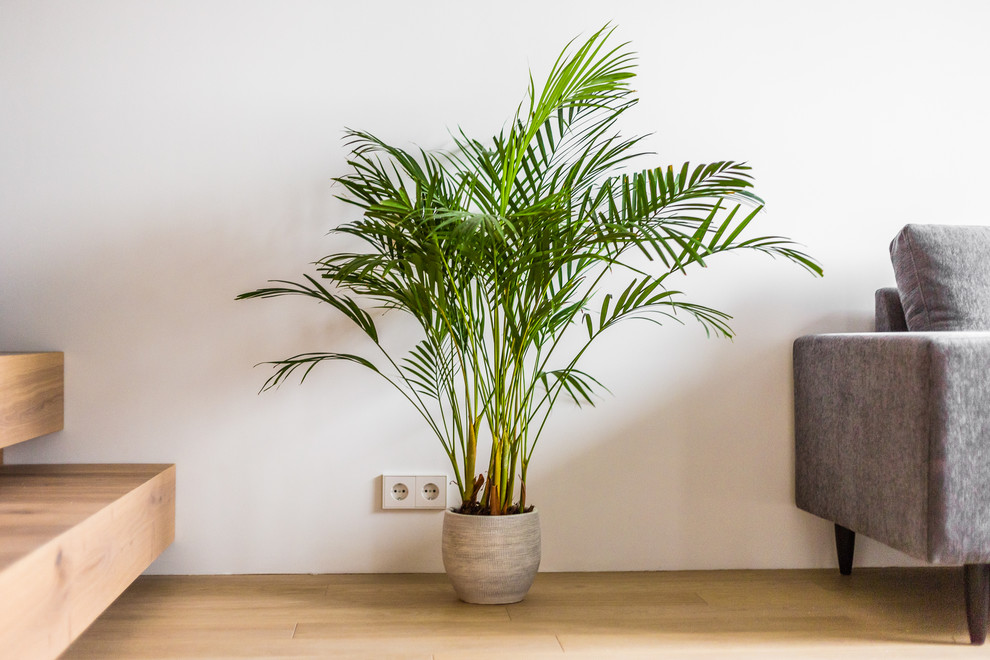 Ремонт в новостройке по дизайн-проекту