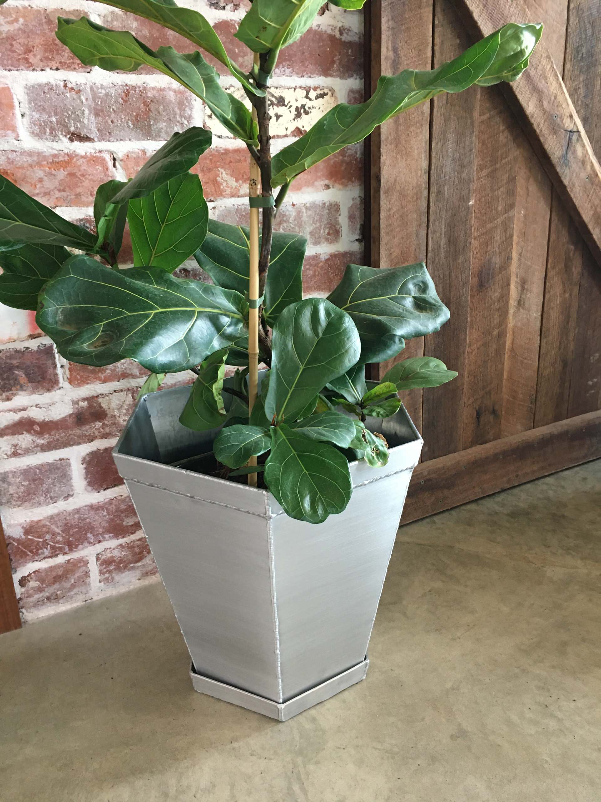 Steel Indoor planter
