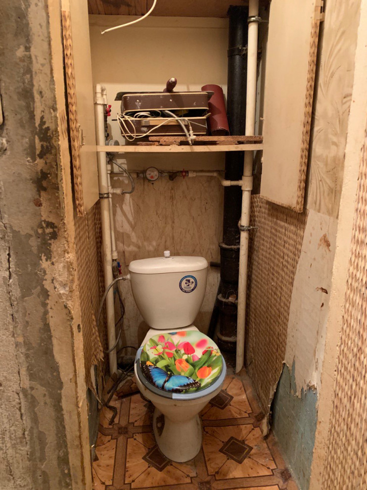 "Гадкий утенок"