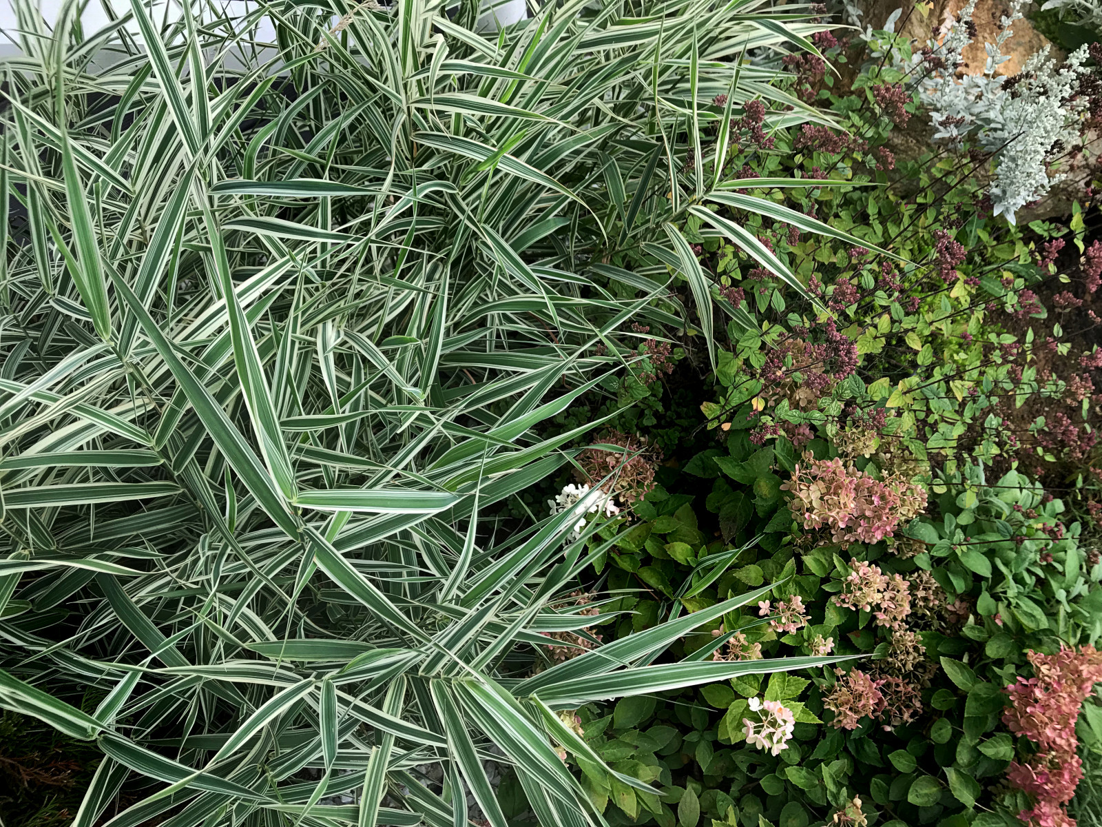 КП Лисавино