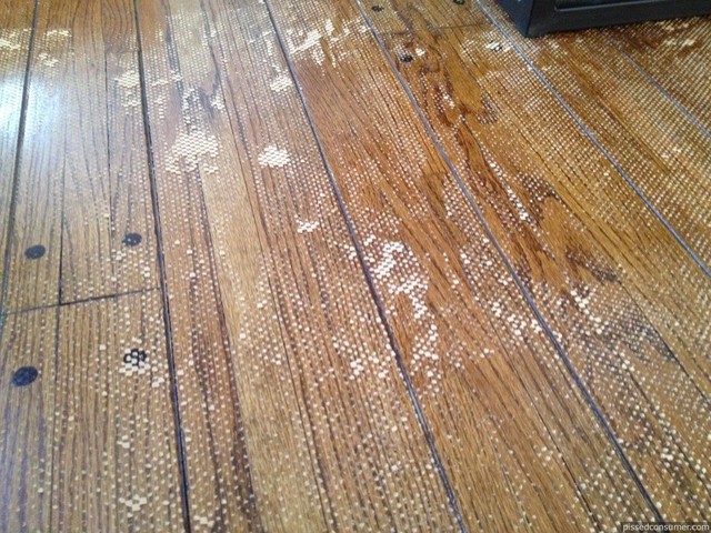Floor Damage With The Right Rug Pad, Area Rug Underlay Hardwood Floors