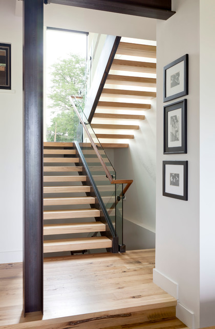 Big Alpine contemporary-staircase
