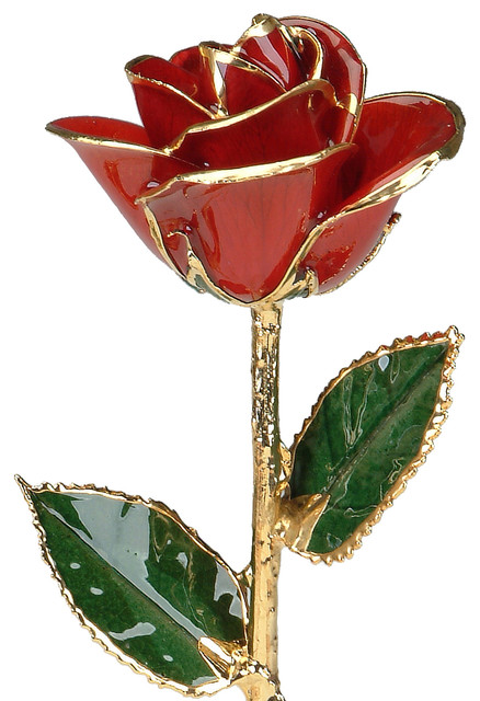 Real Rose Dipped 24k Gold And Preserved Lacquer Traditional Real Rose Dipped 24k Gold And Preserved Lacquer Red