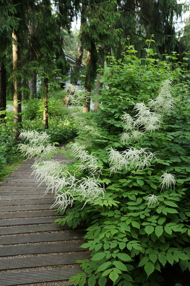 Mittelgroßer, Schattiger Garten im Sommer mit Natursteinplatten in Moskau