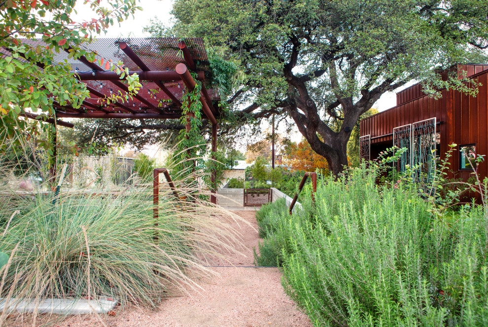 Photo of a large modern courtyard partial sun xeriscape for spring in Austin with a garden path and decomposed granite.
