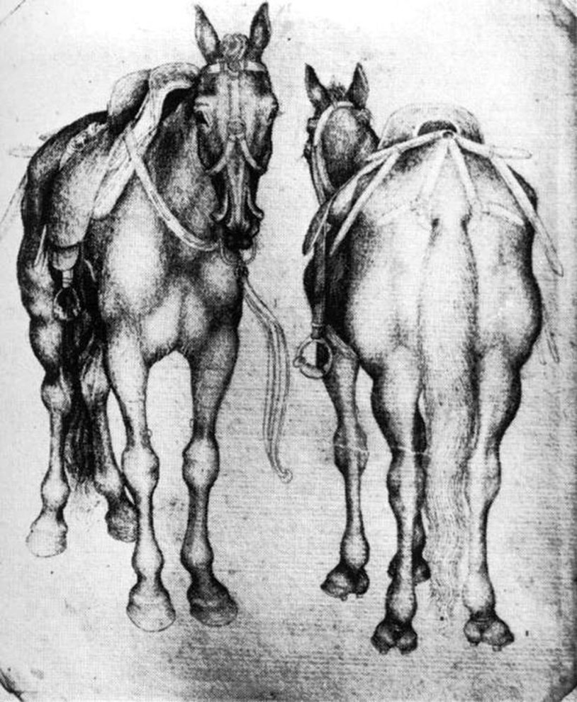 Antonio Pisanello The Horses - 20" x 25" Premium Canvas Print