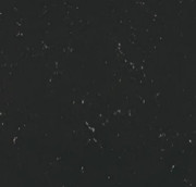 Nightfall (black, white)