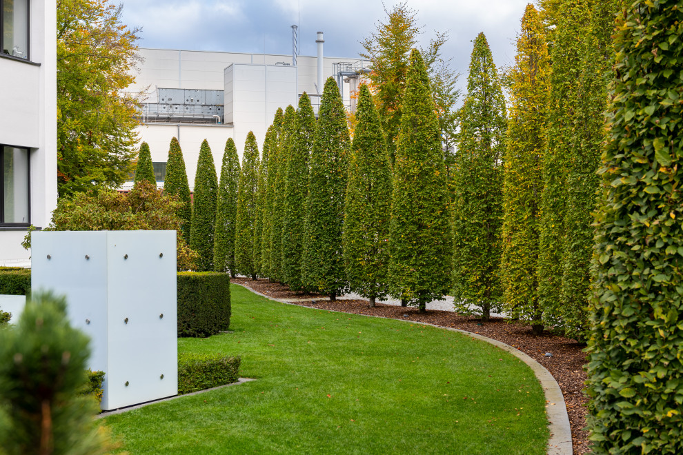 Exemple d'un grand jardin latéral moderne l'automne avec des solutions pour vis-à-vis et une exposition ensoleillée.