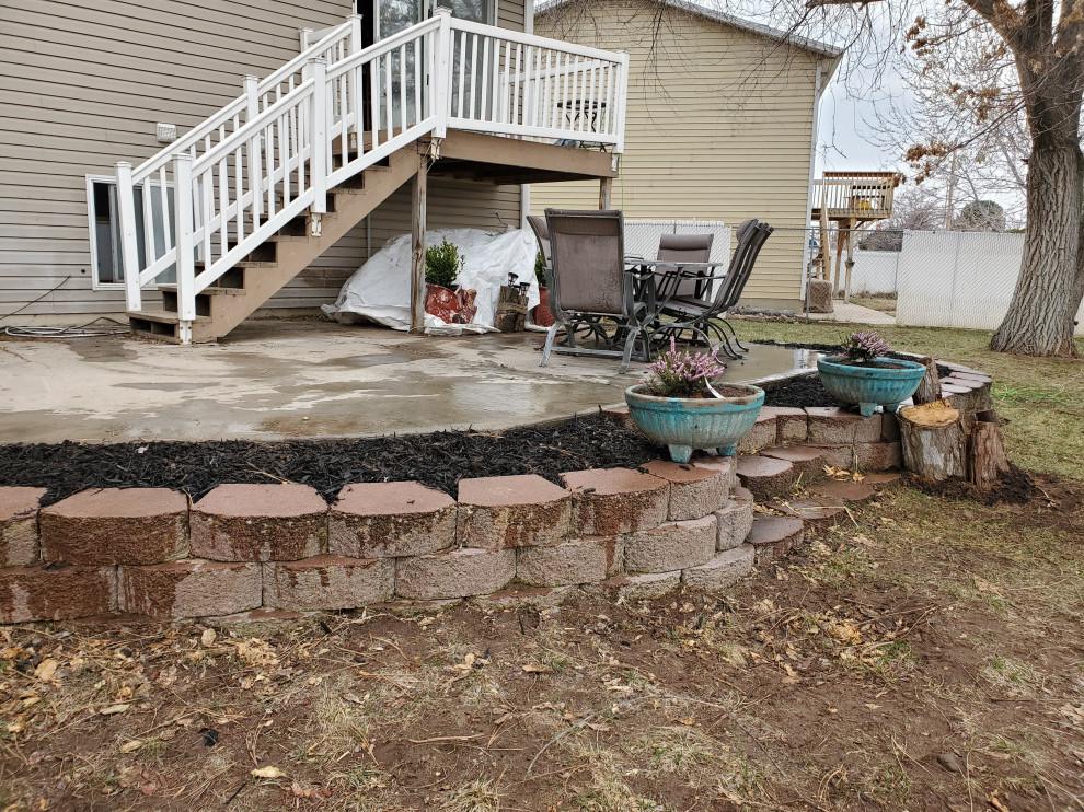 Backyard Transformation - Before Photos