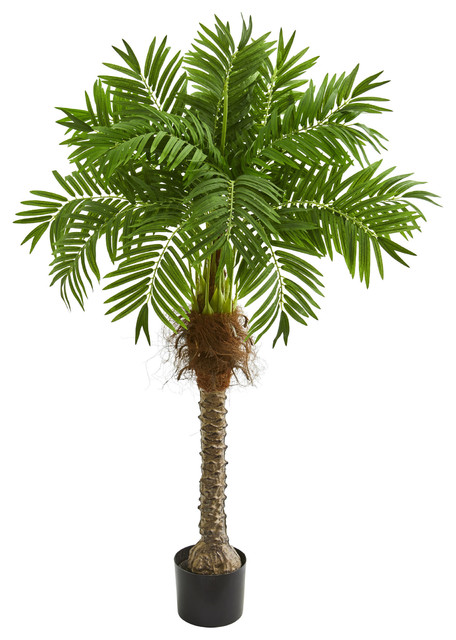 58" Robellini Palm Artificial Tree