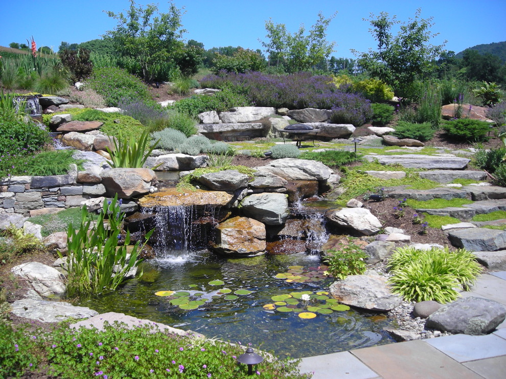 Photo of an eclectic garden in DC Metro.